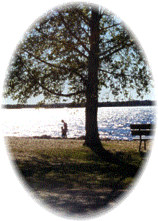Welcome to Brereton Lake Resort