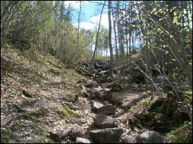 Falls