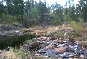 Beaver dam