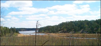 View of McGillivary Lake